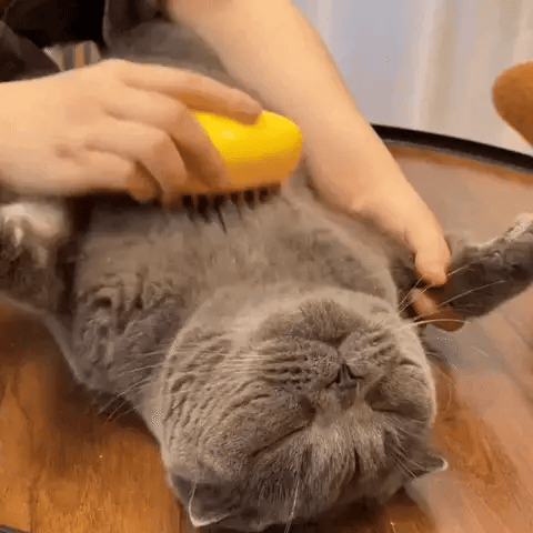 PawSpa 3-in-1 Pet Care Brush